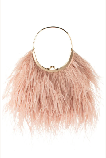 Penny Feathered Frame Bag Rent B