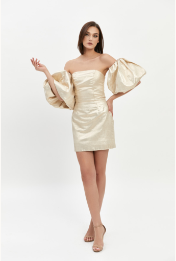 Shiny Off Shoulder Mini Dress Rent B