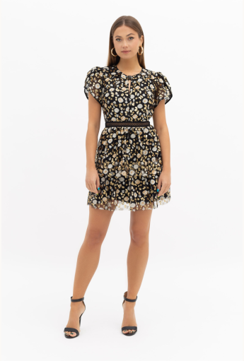 Sequined Mini Dress Rent B