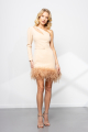 Cacao Melissa Dress With Feathers Rent B