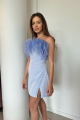 Blue Gabrielle Dress with Feathers Rent B