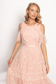 Pink Daisy Embroidered Midi Dress