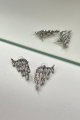 Crystal Silver Earrings Rent B