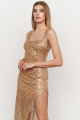 Louisa Gold Maxi Dress Rent B