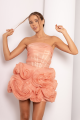 Appliquéd Organza Coral Mini Dress Rent B