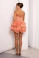 Appliquéd Organza Coral Mini Dress Rent B