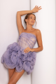 Appliquéd Organza Lavender Dress Rent B